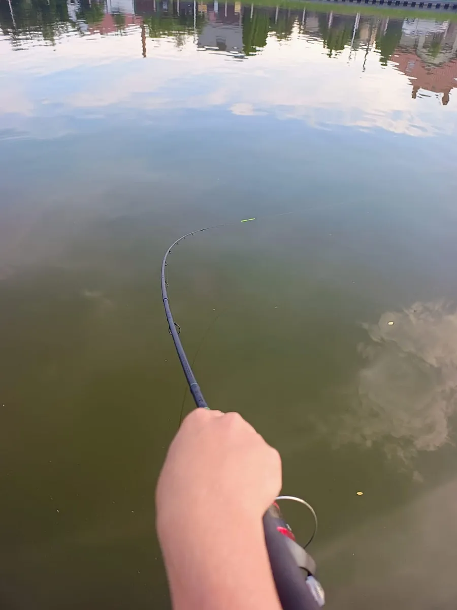 Wędka Mikado Noctis X Lite Method/ Bomb Feeder 3,30m 70g